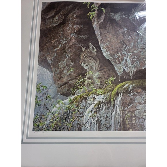 Robert Bateman "At The Cliff" - Bobcat Signed 3849/12500 Framed Print & 2 COA's - Picture 2 of 10